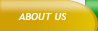 about our business